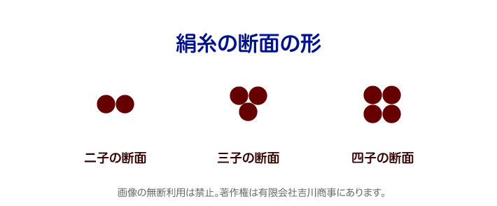 絹糸の断面図